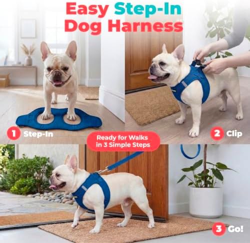 Best Pet Supplies Voyager Step-in Air Harness - All Weather Mesh, Reflective, No Pull Harness for Dogs, Cats - Secure with Hook & Loop Fastener, Buckle, Double D-Rings - Royal Blue, XS - Image 3