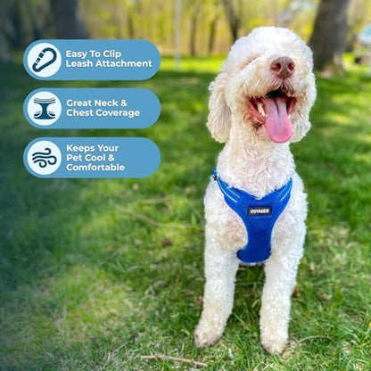Voyager Step-in Flex Adjustable Dog Harness - Royal Blue, Medium - Image 5