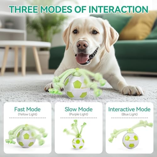 ALL FOR PAWS Interactive Dog Toys, Smart Dog Ball with Durable Rope, Automatic Moving and Rolling Ball Toys for Small Medium Large Dogs, Motion-Activated and USB Rechargeable - Image 2