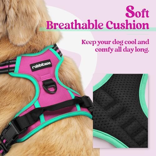 rabbitgoo Dog Harness, No Pull Medium Sized with 2 Leash Clips, Pet Vest - Image 2