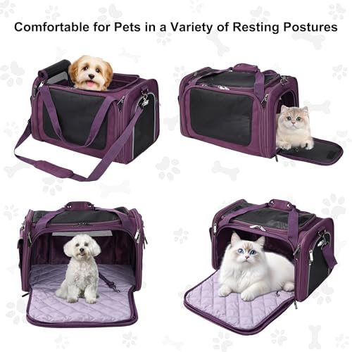 EliteField Deluxe Soft Pet Carrier for Cats and Dogs (3-Year Warranty) - Image 2