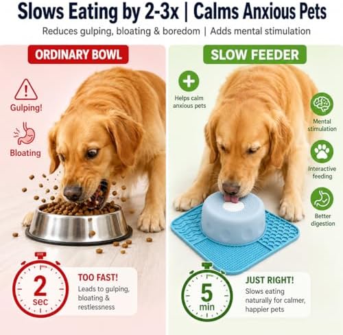 2-in-1 Lick Bowl with Rolling Ball: Slow Feeder Dog Bowl - Image 4
