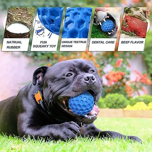 Squeaky Dog Balls, 2 Pack Indestructible Dog Toys for Aggressive Chewers Large/Medium Breed, Natural Rubber Interactive Chew Toys for Teeth Clean, Relieves Anxiety（Blue + Orange） - Image 2