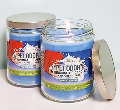 Pet Odor Exterminator Specialty Pet Products Clothesline Fresh 13 Oz Candle, 2-Pack - Image 4