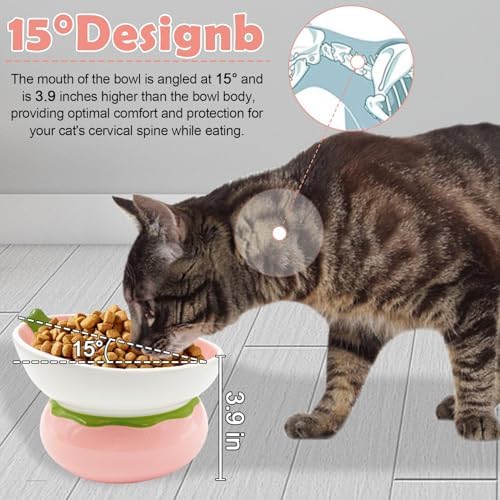 Hamiledyi Ceramic Raised Cat Bowls 15° Tilted Elevated Kitten Food Water Bowl Shallow Whisker Fatigue Kitty Dish Fruit Pet Feeding Bowls Feeder for Indoor Cats Small Dog (Pink Strawberry) - Image 4