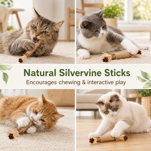 5-Piece Catnip Cat Toy Set with Plush Caterpillars & Silvervine Sticks - Image 4