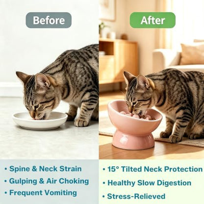 Ceramic Slow Feeder Cat Bowl, Elevated Tilted Design, Pink - Image 3