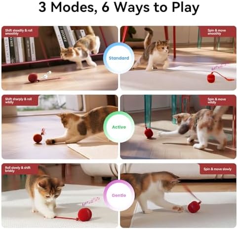 Cheerble 2 in 1 Interactive Cat Toys for Indoor Cats - Wicked Ball Duo2 Automatic Cat Toy, Dual Interchangeable Shells, Electric Moving Cat Ball with Tail & Chirping Sounds, Red - Image 3