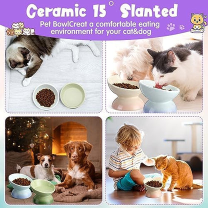 Hushee 4 Pcs Ceramic Raised Cat Food Bowls Elevated Tilted Dish Anti Vomiting Food or Water Bowls Pet Supplies - Image 5