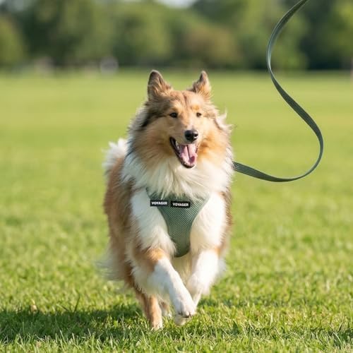 Best Pet Supplies Voyager Step-in Air All Weather Mesh Harness and Reflective Dog 5ft Leash Combo with Neoprene Handle, for Small, Medium and Large Breed Puppies - Moss Green, XXS - Image 7