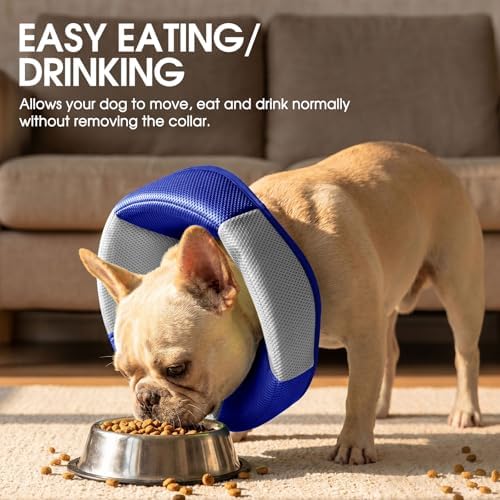 Dog Cone Soft Cone for Dogs to Stop Licking - Image 5