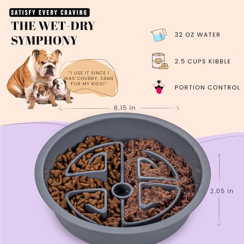AVERYDAY Slow Feeder Dog Bowls for Large Breeds Fits Raised Feeding Station, Puzzle Dog Food Bowls to Slow Down Eating, Dogs Feeding Bowl with Non-Slip, Slows Feeder Pet Bowl for Wet and Dry Food - Image 3
