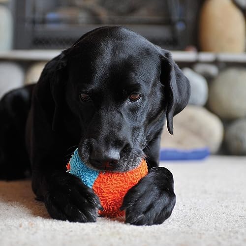 Chuckit! Indoor Fetch Shaker Dog Toy, 7.75in, Orange and Blue - Image 3