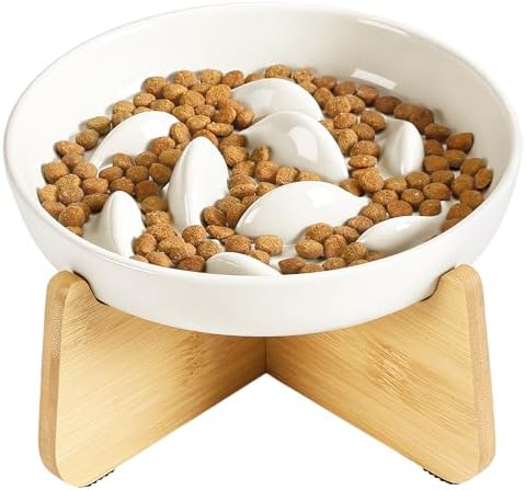 PETTOM Slow Feeder Cat Bowl with Stand, Ceramic Slow Eating Cat Bowl with Higher Edges Fish Pool Design Elevated Food Bowls for Dry and Wet Food Anti-Vomiting Puzzle Feeder for Healthy Eating Diet by PETTOM