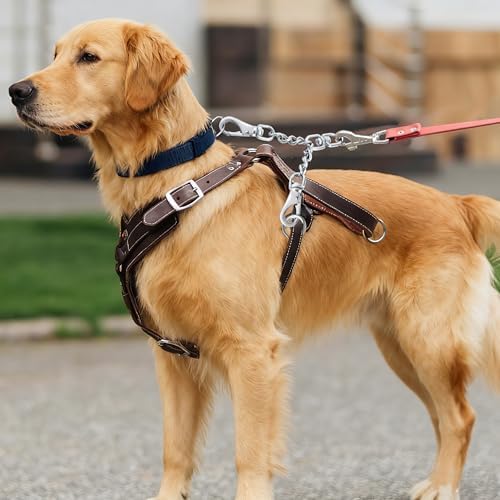 DEYACE Leash Backup with Dual Clasps Safety Clip and Harness Connectors - Image 2