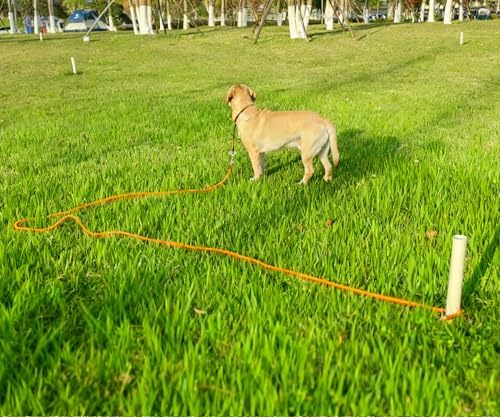 30FT Tie Out Rope Dog Lead 3/8" Long Dog Tether Nylon Check Cord - Image 6