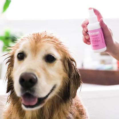 Breedwise Dog Perfume Spray - Sweet Pea & Vanilla Long Lasting Dog Cologne for Odor Neutralizing - Gentle Puppy Deodorizer & Grooming Mist for All Breeds - Made in USA (4 Oz)