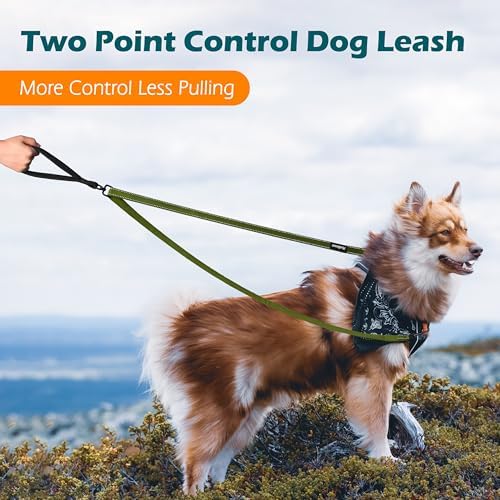 PetBonus Two Point Control Dog Leash, No Tangle Training Walking Leashes - Image 2
