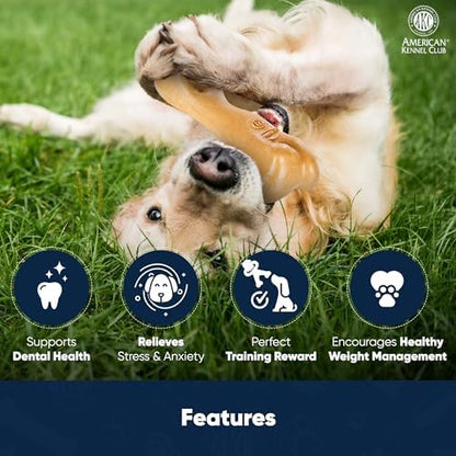 American Kennel Club Training Dog Chew Toy, Thick Bone Dog Toy, Durable Dog Toy for Moderate Chewers, Beef Scented for Long-Lasting Engagement, Supports Dental Health - Image 3