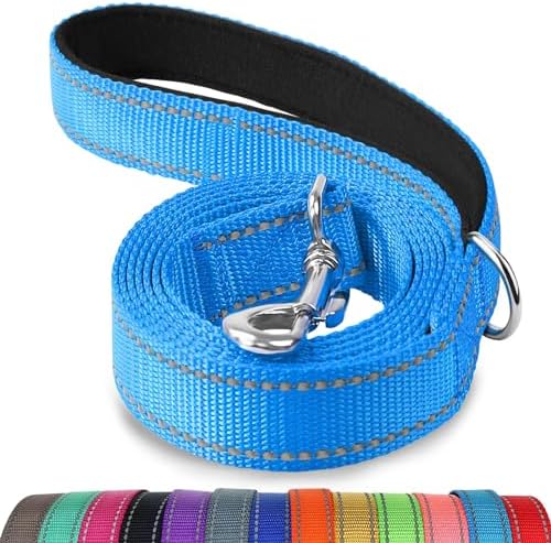 Joytale Reflective Dog Leash for Small Dogs, 4 FT x 3/4", Sky Blue by Joytale