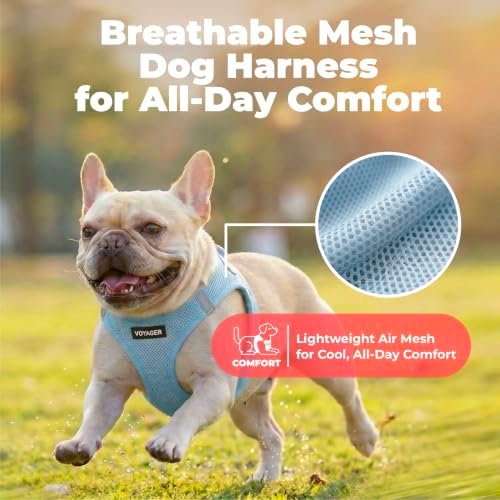 Voyager Step-in Air Dog Vest Harness - Baby Blue, XX-Small - Image 5