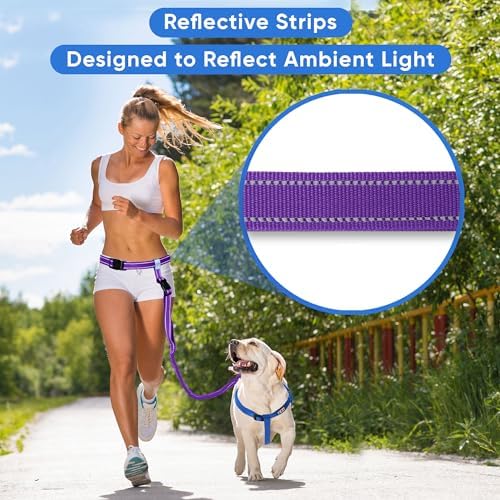 Pawtitas Hands Free Dog Leash Running Leash for Dogs Create A Pet Exercise Routine with The Dog Running Leash Hands Free Enjoy The Walking Or Jogging Accessory Bungee Dog Leash Purple Dog Leash - Image 3