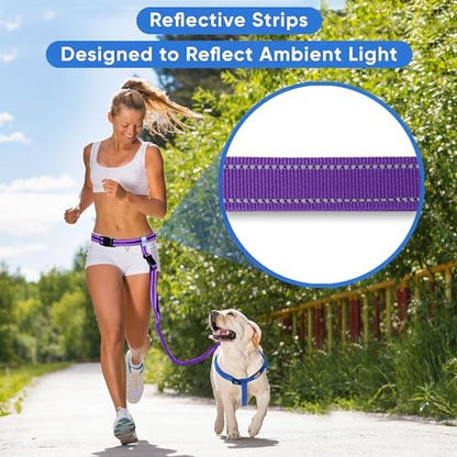 Pawtitas Hands Free Dog Leash Running Leash for Dogs Create A Pet Exercise Routine with The Dog Running Leash Hands Free Enjoy The Walking Or Jogging Accessory Bungee Dog Leash Purple Dog Leash - Image 3