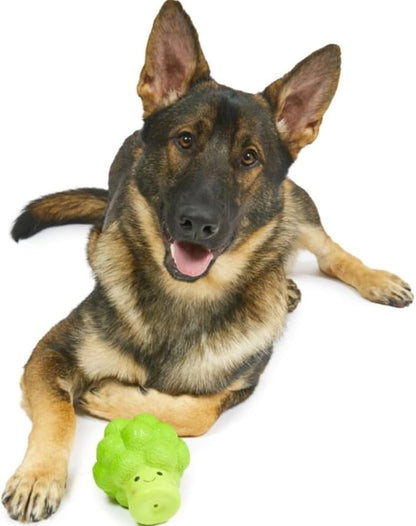 Petface Latex Broccoli Soft Chew Dog Toy, Large