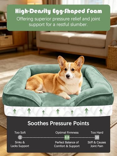 Spotted Play Orthopedic Dog Bed with Sides - Sofa Beds for Medium Dogs, Supportive Foam Pet Couch Bed with Washable Removable Cover, Waterproof Lining and Non-Slip Bottom, Green - M - Image 4