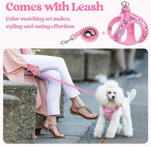 rabbitgoo Dog Harness Small Sized and Leash Set, Step-in Puppy Pet Vest - Image 6