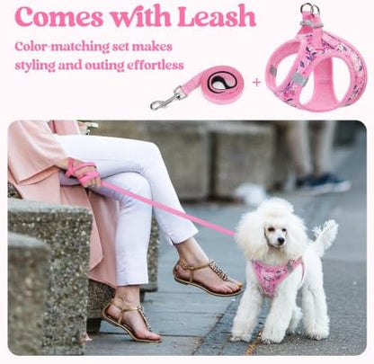 rabbitgoo Dog Harness Small Sized and Leash Set, Step-in Puppy Pet Vest - Image 6
