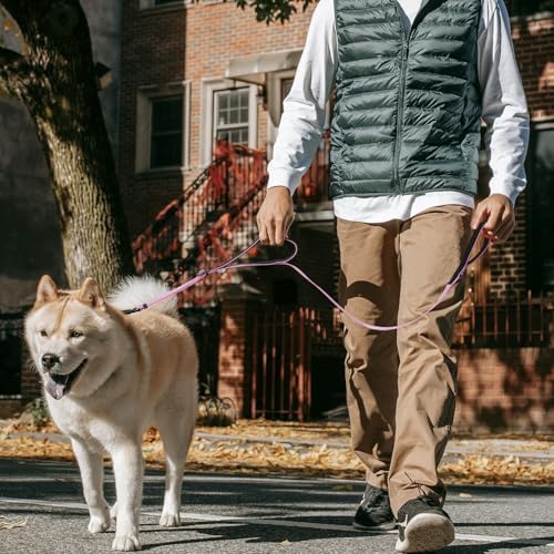 Double Handle Dog Leash for Large Dogs, Heavy Duty Adjustable Leash with Soft Padded Handles, Traffic Control Training Lead for Walking, Running (Purple & White Stripe, 4 ft) - Image 4