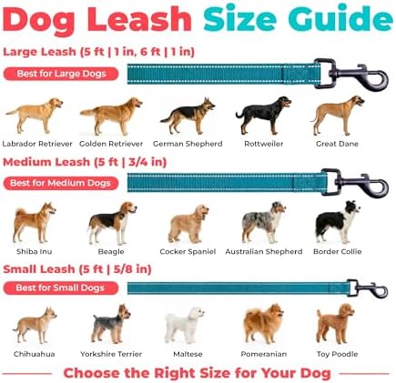 Best Pet Supplies Voyager Nylon Dog Leash - Turquoise, Large - Image 6