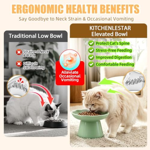 6" Elevated Cat Bowls,Ceramic cat Food Bowl, Green, 1-Pack - Image 3