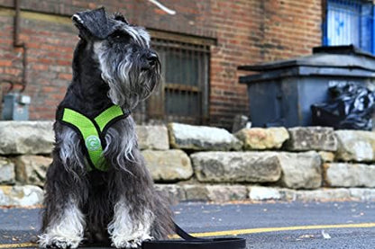 Gooby Comfort X Head-in Dog Harness, Choke-Free, Green, X-Large - Image 3