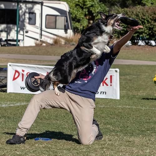 Hyperflite Pup Jawz Puncture Resistant Dog Flying Disc, Small Dogs - Image 5