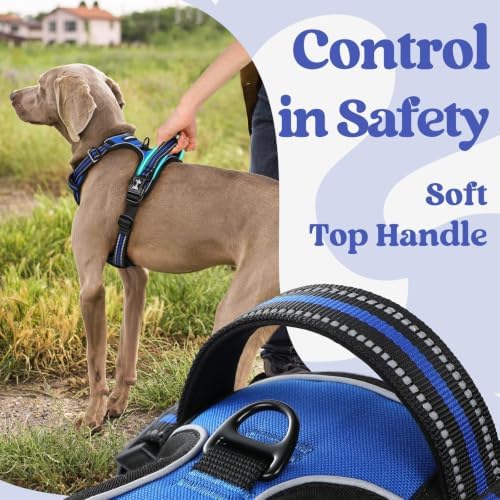 rabbitgoo Dog Harness Medium Sized, Updated Easy On & Off with 3 Buckles - Image 5