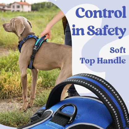 rabbitgoo Dog Harness Medium Sized, Updated Easy On & Off with 3 Buckles - Image 5