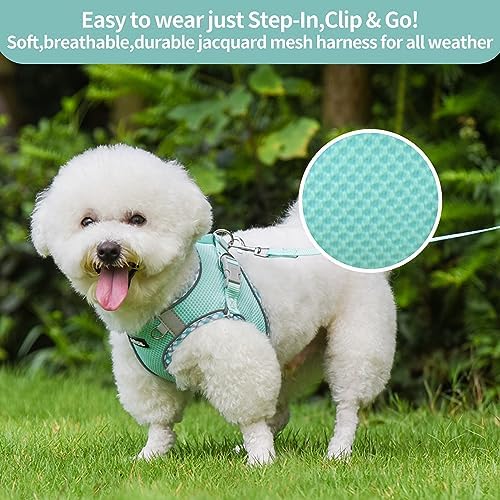 AIITLE Dog Harness and Leash Set with Breathable Mesh, Turquoise M - Image 6