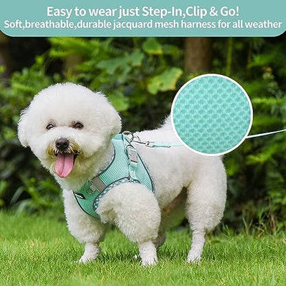 AIITLE Dog Harness and Leash Set with Breathable Mesh, Turquoise M - Image 6