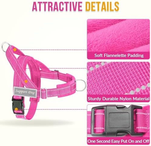 SlowTon No Pull Dog Harness and Leash Set - Heavy Duty, Soft Padded - Image 3