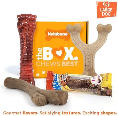 Nylabone Dog Gift Box, Strong Chew Toys & Treat, Large, 4 Count - Image 3