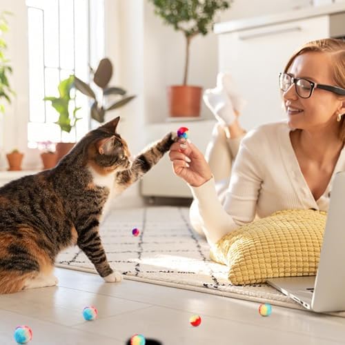 FuninCrea 20 Pcs Cat Ball Toy, 1.18-Inch Rainbow Cat Toy Ball Colorful Cat Pom Pom Balls with a Small Pouch, Fuzzy Kitty Balls for Cats, Kitten Toys for Playing Training Chasing (A,Small) - Image 6