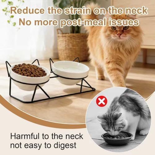 Elevated Tilted Cat Bowls for Indoor Cats，Raised Ceramic Cat Bowl Elevated 15°,Pet Feeding Bowls for Food and Water Anti Vomiting Bowl(Double Ceramics and Tilt Shelf) Suitable - Image 4