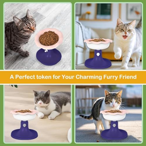 Adjustable Ceramic Elevated Cat Bowls, 30° Tilted Raised Cat Bowls, Neck Protection, Whisker-Friendly, Leak Proof for All Age Cats & Dogs, Lace (Pinkish Blue) - Image 7
