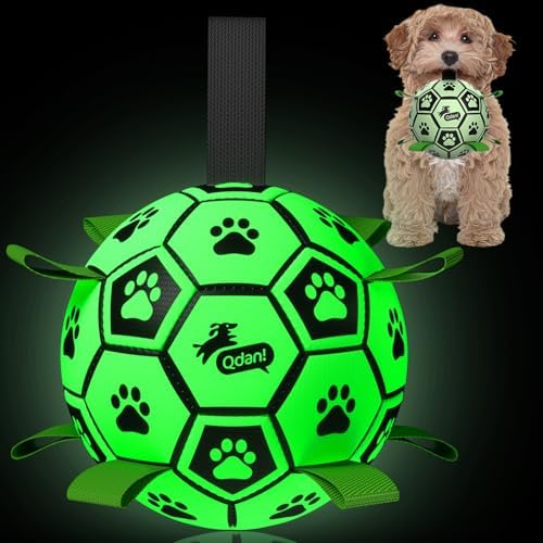 QDAN Premium Dog Ball, Glow in The Dark Dog Toys, Light Up Soccer Ball for Dogs, Outdoor Dog Toys, Doggy Water Toy, Puppy Birthday Gifts for Small Medium (6 Inch) by QDAN