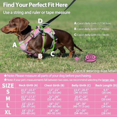Huntboo Escape Proof Dog Harness, Dachshund Harness, Reflective Dog Harness with Handle, Durable,Adjustable Vest for Small Medium Large Dogs Walking, Training, and Running Gear (Pink,XL) - Image 6