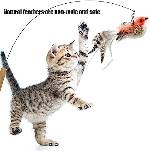 Cat Feather Toys Refill, 5 Pieces Attachments Feathers Bird for Cat Wand - Image 2