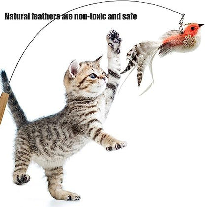 Cat Feather Toys Refill, 5 Pieces Attachments Feathers Bird for Cat Wand - Image 2