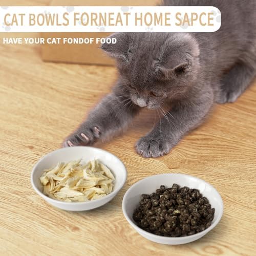 HAPPY KIT 2pcs Little Cat Bowls, 5Inch Cat Food Bowl for Indoor Cats - Image 3